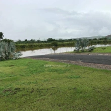 Imagem: Lote à venda, Centro - Periquito - Periquito/MG